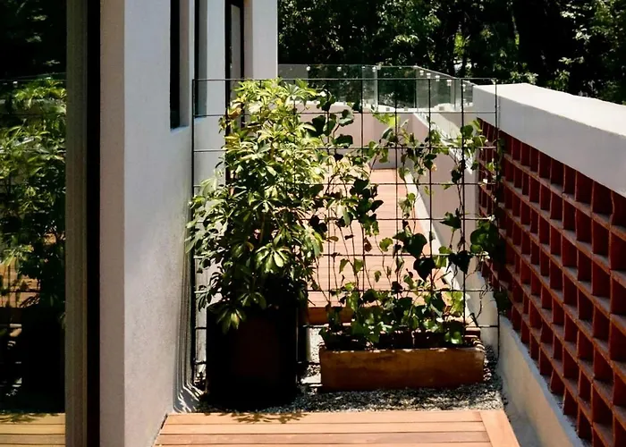 Altata By Oolena México DF
